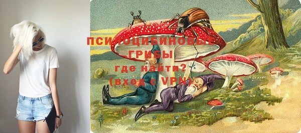 мяу мяу мука Богданович